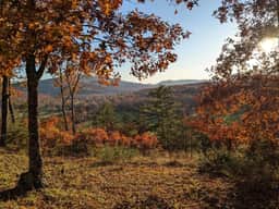 Shenandoah Retreat - Image 5